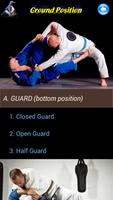 BJJ in brief 截圖 2