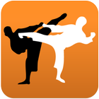 Karate in brief 圖標