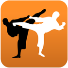 Karate in brief icon
