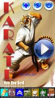 Karate in brief poster