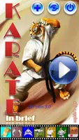 Karate in brief poster