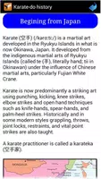 Karate in brief screenshot 2