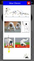 Karate in brief ภาพหน้าจอ 3