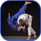 Judo in brief icône