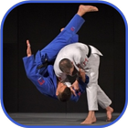 Judo in brief icon