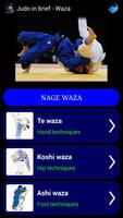 Judo in brief capture d'écran 1
