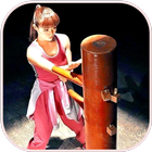 Wing Chun Kung Fu-icoon