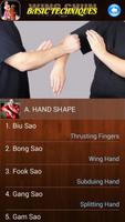 Wing Chun Kung Fu syot layar 1