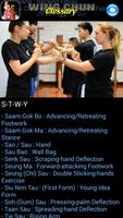 Wing Chun Kung Fu اسکرین شاٹ 2