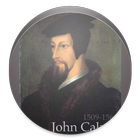 Calvinism icono