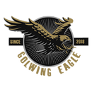 Gold Wing Eagle APK