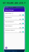 Volume Manager Affiche