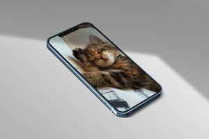 A4 Wallpaper ảnh chụp màn hình 2