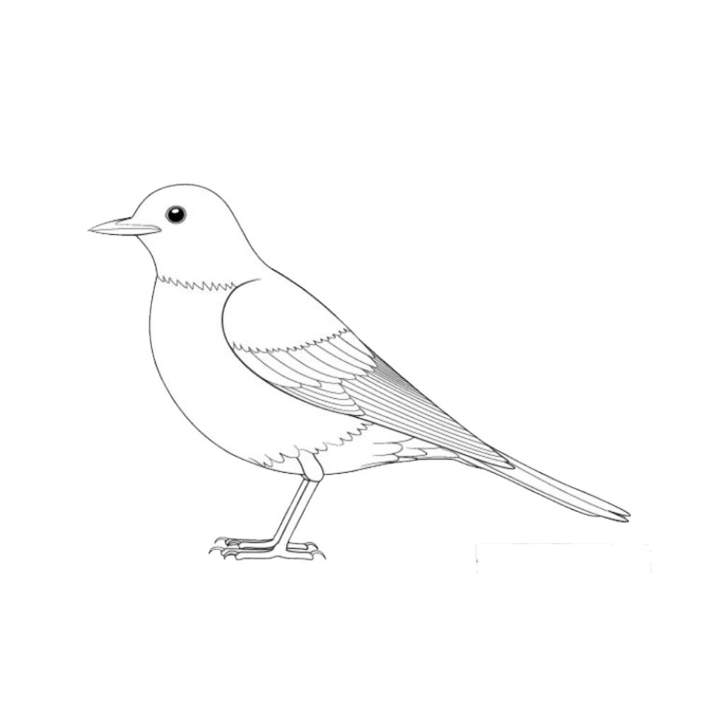 How to bird. Птица рисунок. Птичка карандашом. Картинки птиц для срисовки. Рисунок птицы с боку.