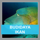 Cara Budidaya Ikan Sukses icône