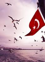 Türk Bayrak Duvar Kağıtları Ekran Görüntüsü 2