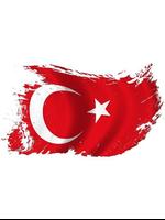 Fond d'écran drapeau turc capture d'écran 3