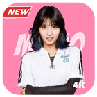 Momo アイコン