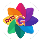 Gallery Plus Pro ikona