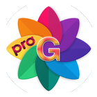 Gallery Plus Pro icône