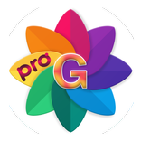 Gallery Plus Pro
