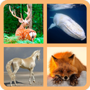 Викторина о Животных - Угадай Название APK