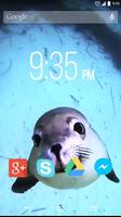 Cute Seal Live Wallpaper-poster