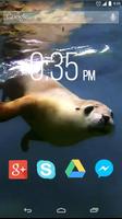 Cute Seal Live Wallpaper screenshot 2