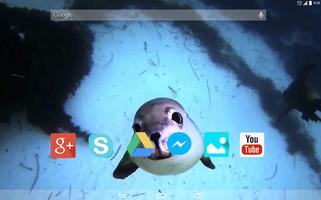 برنامه‌نما Cute Seal Live Wallpaper عکس از صفحه