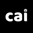 cai - AI 반려견 프로필