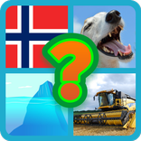 4 Bilder 1 Ord - 2019