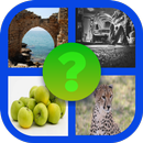 APK 4 Plaatjes 1 Woord - Puzzel