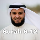 Quran Reading Mishary Rashid Surah 6-12 Offline icône