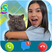 Tv Ana Emilia Call & Video simgesi