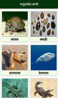 Animal Information in Marathi تصوير الشاشة 3