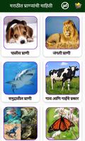 Animal Information in Marathi تصوير الشاشة 1