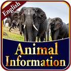 Animal Information ไอคอน