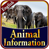Animal Information icon