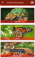 Animal Information ภาพหน้าจอ 3