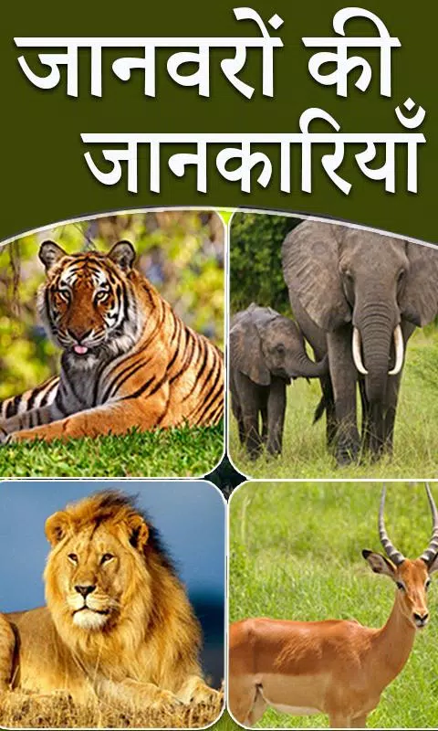 Animal Information in Hindi APK for Android Download Animal Information in Hindi APK for Android Download