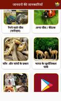 Animal Information in Hindi تصوير الشاشة 2