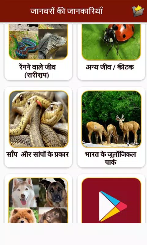Animal Information in Hindi APK for Android Download Animal Information in Hindi APK for Android Download