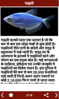 Animal Information in Hindi تصوير الشاشة 3