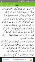 Novel aur Afsany Screenshot 2