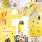 Yellow Aesthetic Wallpaper icône