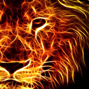 Fire Lion Wallpaper APK