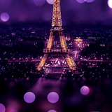 Paris Wallpaper 아이콘