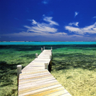 Jamaica Jigsaw Puzzles simgesi