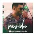 pedrinho pegação musica album