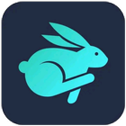 Bunny VPN icône